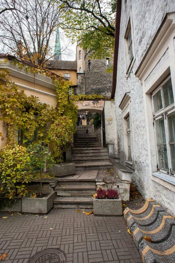 Baltic Accommodation 1 - Rumbi 4-36 تالين المظهر الخارجي الصورة